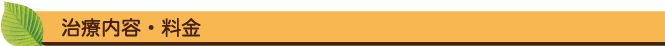 治療内容・料金