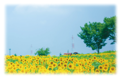 はり・きゅう治療でよくなったお客様の声を載せていきたいと思います