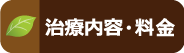 治療内容・料金